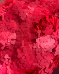 Pink Willy