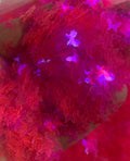 Pink butterfly
